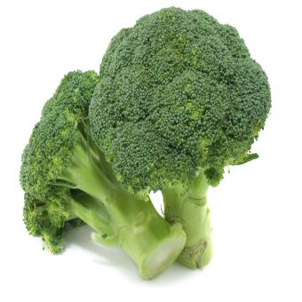 Fresh Broccoli (7-10)-1x103